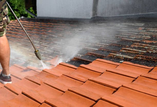 Best House Pressure Washing  in Edwardsburg, MI