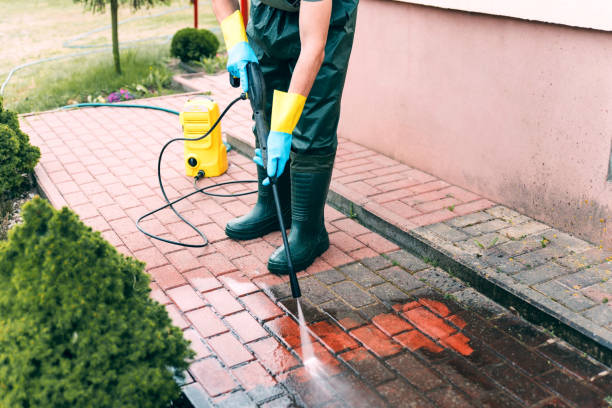 Best Affordable Pressure Washing  in Edwardsburg, MI
