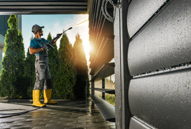 Best Roof Pressure Washing  in Edwardsburg, MI
