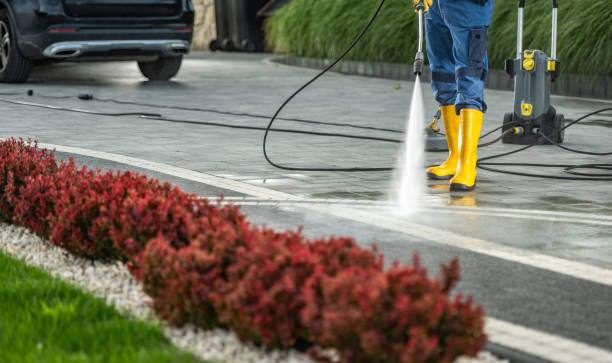 Best Residential Pressure Washing Services  in Edwardsburg, MI