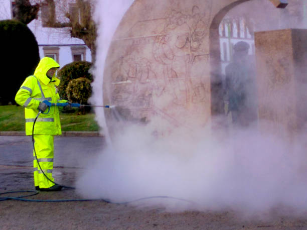 Best Sidewalk Pressure Washing  in Edwardsburg, MI