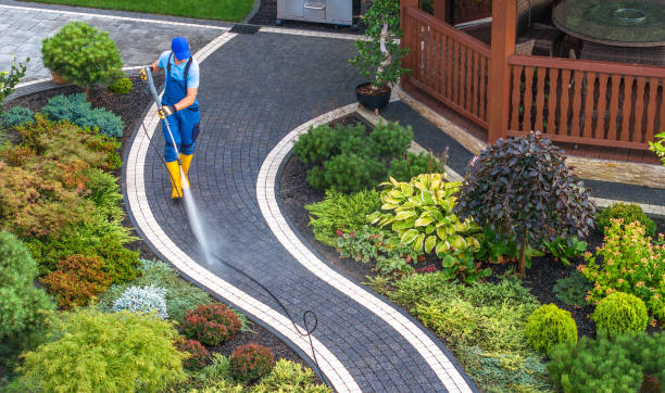 Best Residential Pressure Washing Services  in Edwardsburg, MI