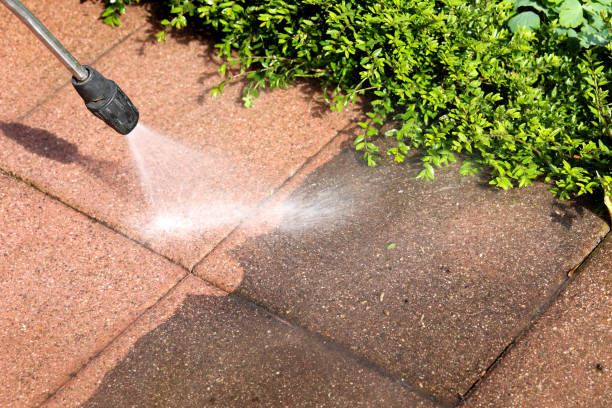 Best Residential Pressure Washing Services  in Edwardsburg, MI